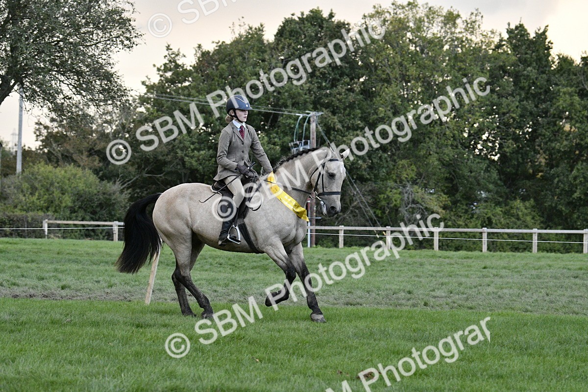 SBM_53312 - S14 - Riding Club Horse