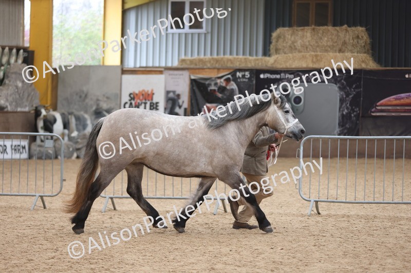 20251109-1137 - Championship