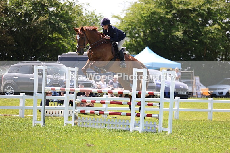 3E7A1271 - Class 12: Senior Foxhunter/1.20 open