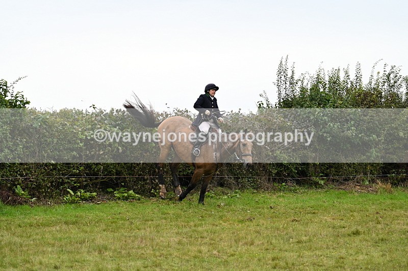 WJ7_4206 - Camera 1 Line 2