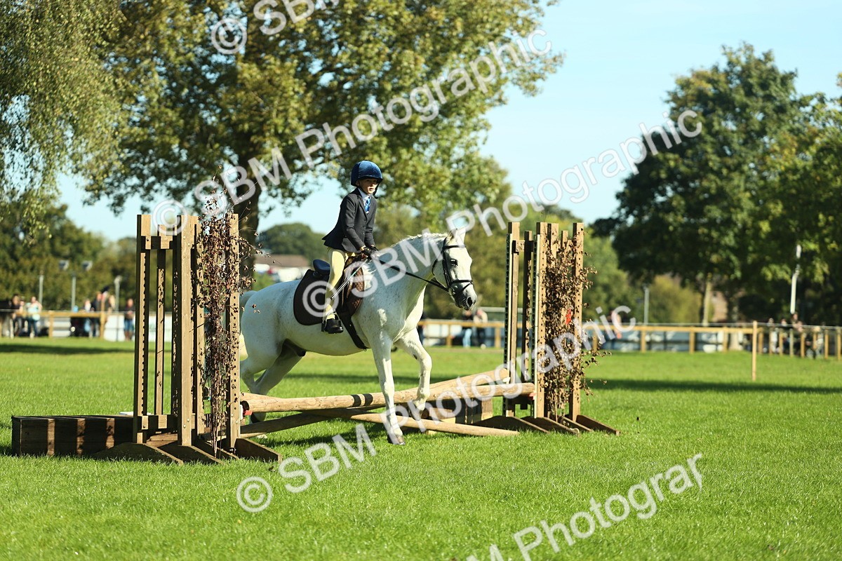 SBM_36477 - S29 - Novice & Newcomers Working Hunter Pony