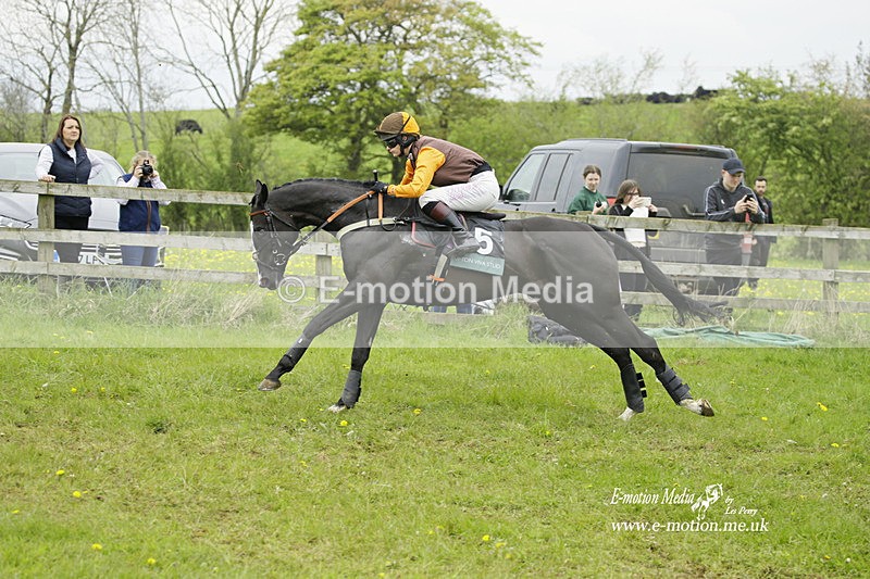 PtP 020522 209 - Mollington Races Point-to-Point 02/05/22