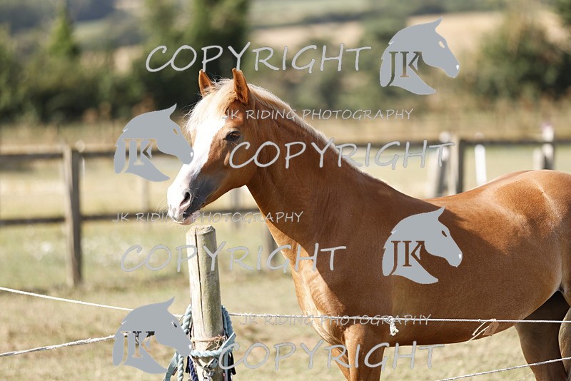 _R6A0767 - GENERAL PHOTOS