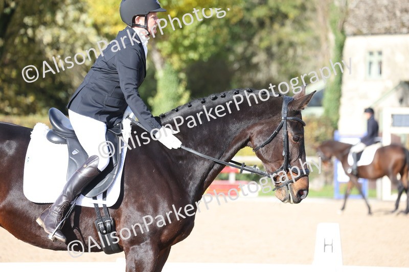 20251101-0612 - Class 4 - Novice 2