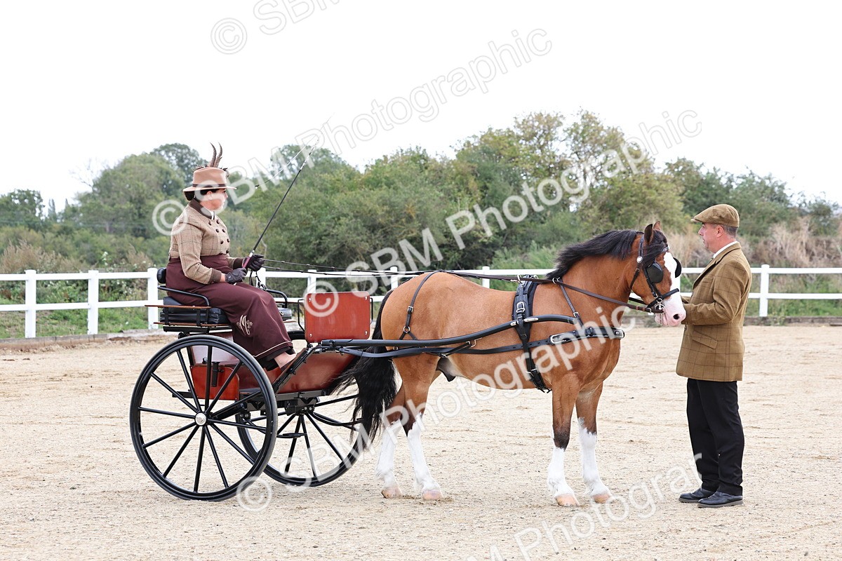 SBM_000291 - Class 2 - Exercise Vehicle 13.2hh & Under