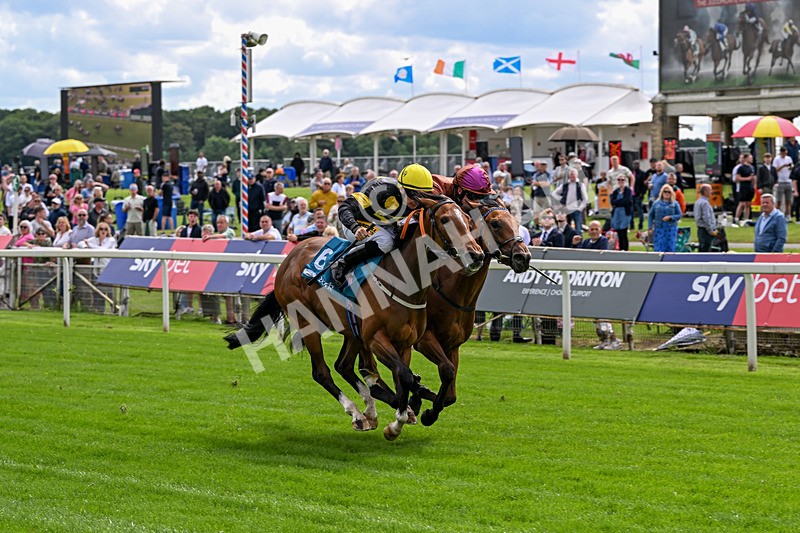 120626-Race 4-Big Negotiator-7526 - Race 4 15.35pm Juddmonte EBF Fillies' Restricted Novice