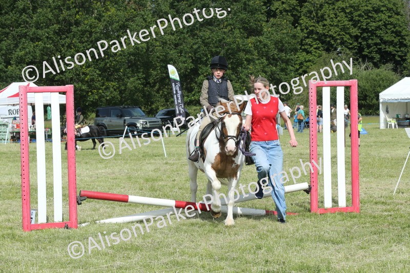 20260614-0263 - Class 1 - 30cm Lead Rein