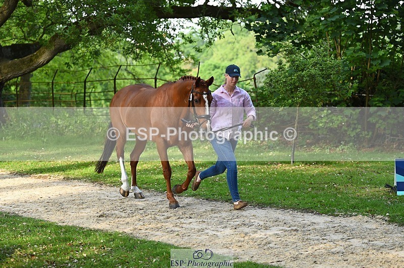 230525-173156-01505 - 323-CHESTNUT_BOBBY-Molly_Fletcher-WEDTrotUp+DR