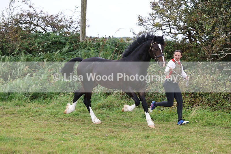 3E7A4118 - Class 15: Two Year Olds