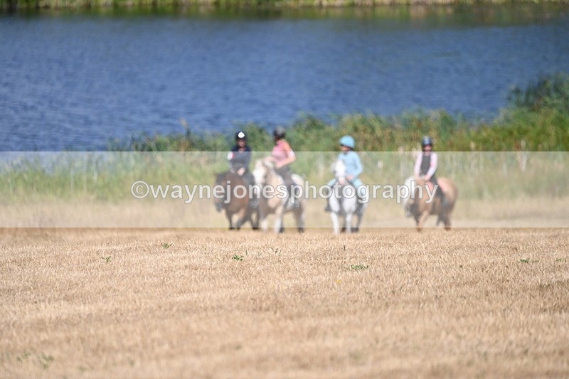 WJ6_8804 - Time 11:56 to 12:02