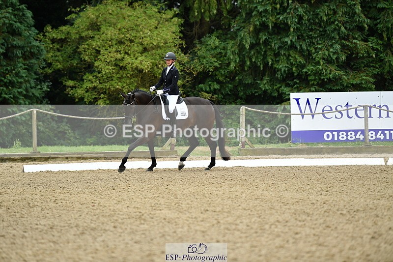 250718A-103858-00220 - 061-Louise.Christie-High.Hoes.Dandelion