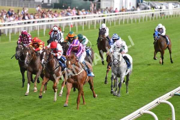 yr23072021r2-28 - Race 2 6.30pm IRE-Incentive It Pays To Buy Irish Stakes