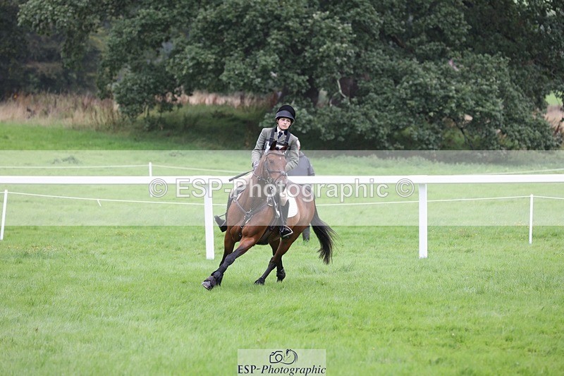 230805-100741-00085 - SJ 10 to 11