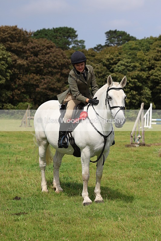 3E7A5914 - Class 26 and 27: 70cm Working Hunter