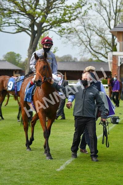 yr13052021r6-45 - Race 6 4.15pm Constant Security EBFstallions.com Maiden Stakes