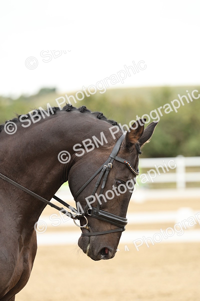 SBM_006603 - Class 21 - Medium 5 Bronze - 9.08-9.48