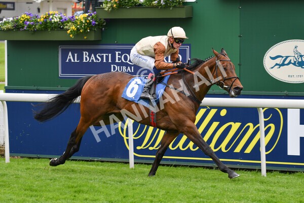 yr22052021r1-26 - Race 1 2.05pm William Hill Pick Your Places Stakes