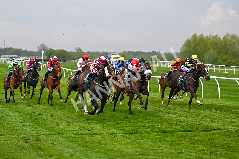 230425-Race 1-Birkenhead-9854 - Race 1