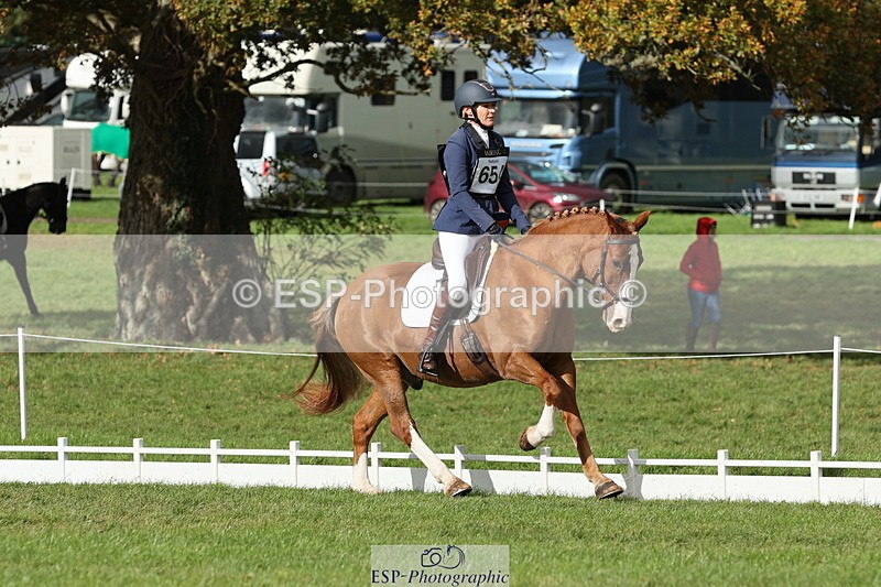 251024A-135008-12678 - H-654-Philippa.Skelton