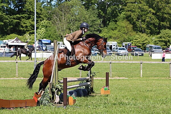 IMG_3751 - Working Hunter