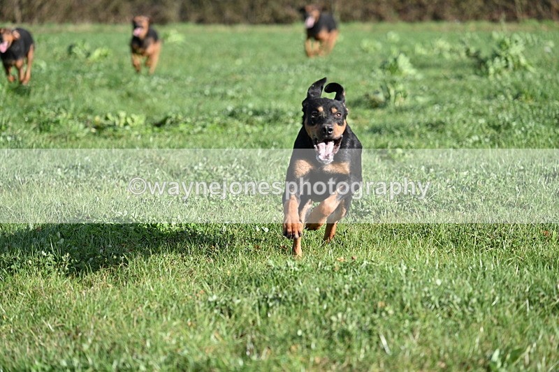 WJ7_3968 - Camera B