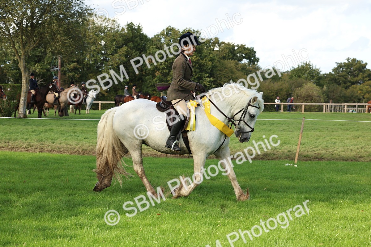 SBM_46358 - Working Hunter Pony Supreme Championship