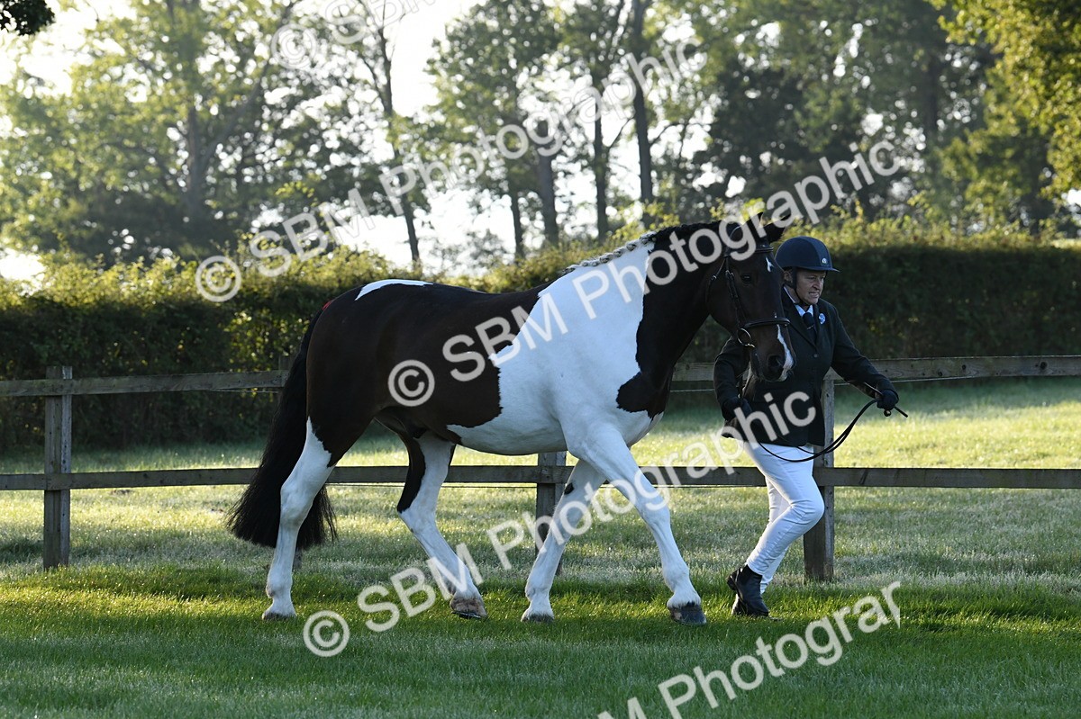 SBM_32577 - S15 - Condition & Turnout In Hand