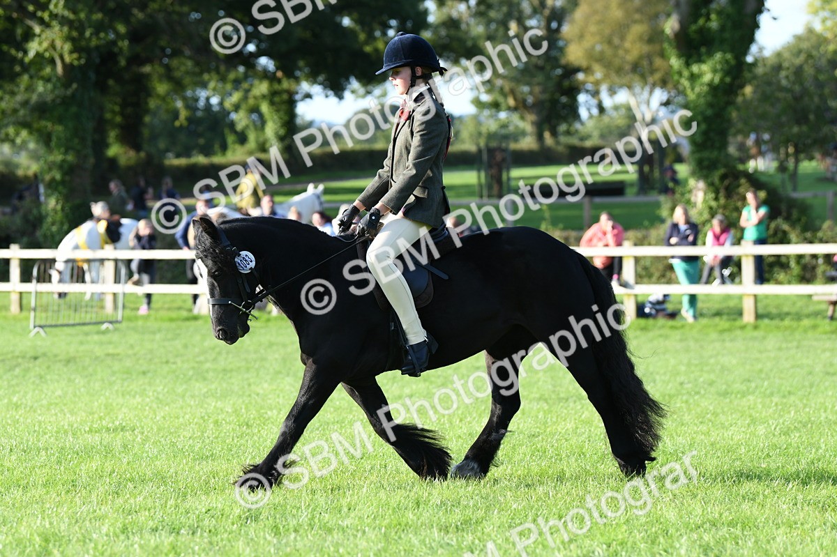 SBM_54083 - S23 - 1st Ridden Mountain & Moorland Pony
