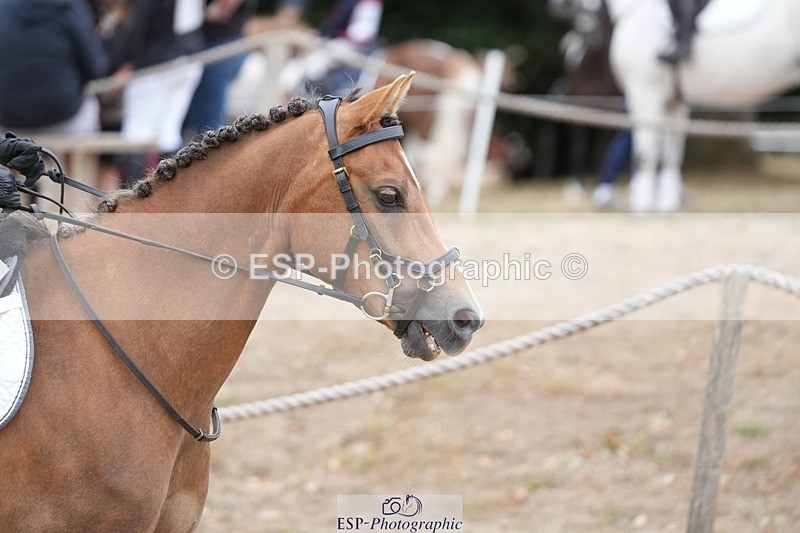 250820A-100209-02221 - Round 2, 9.45 to 10.45 Break