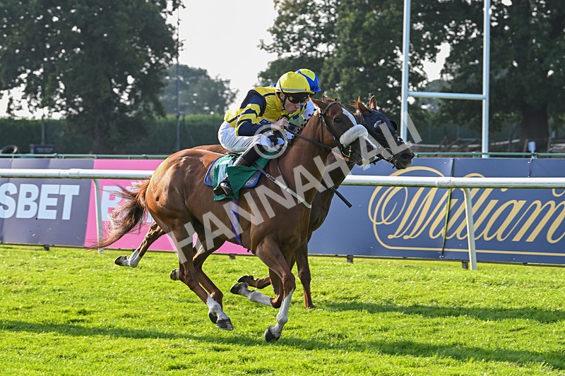 300824-Race 8-Captain Corelli-6666 - Race 8