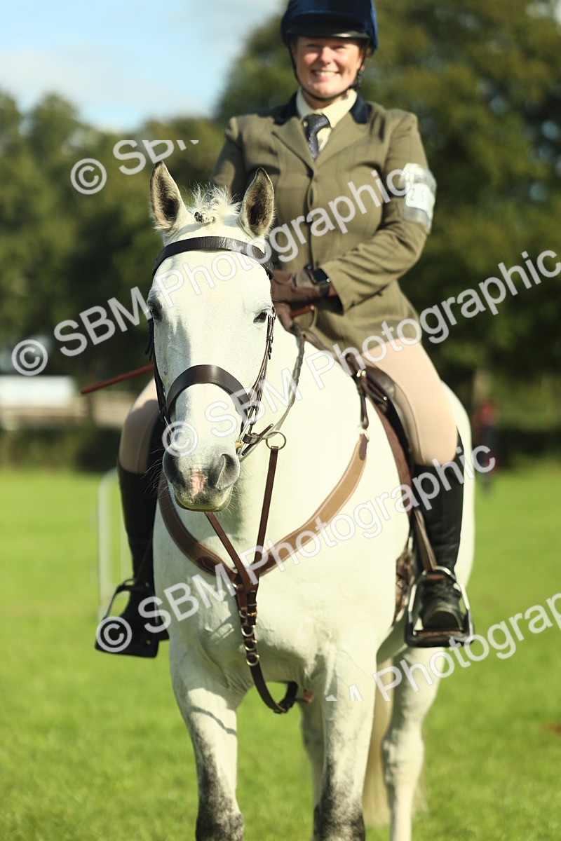 SBM_49840 - S32 - Novice & Newcomers Working Hunter
