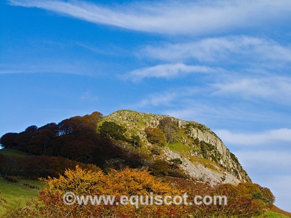 Loudoun Hill, Ayrshire, Scotland - Wildlife & Landscape