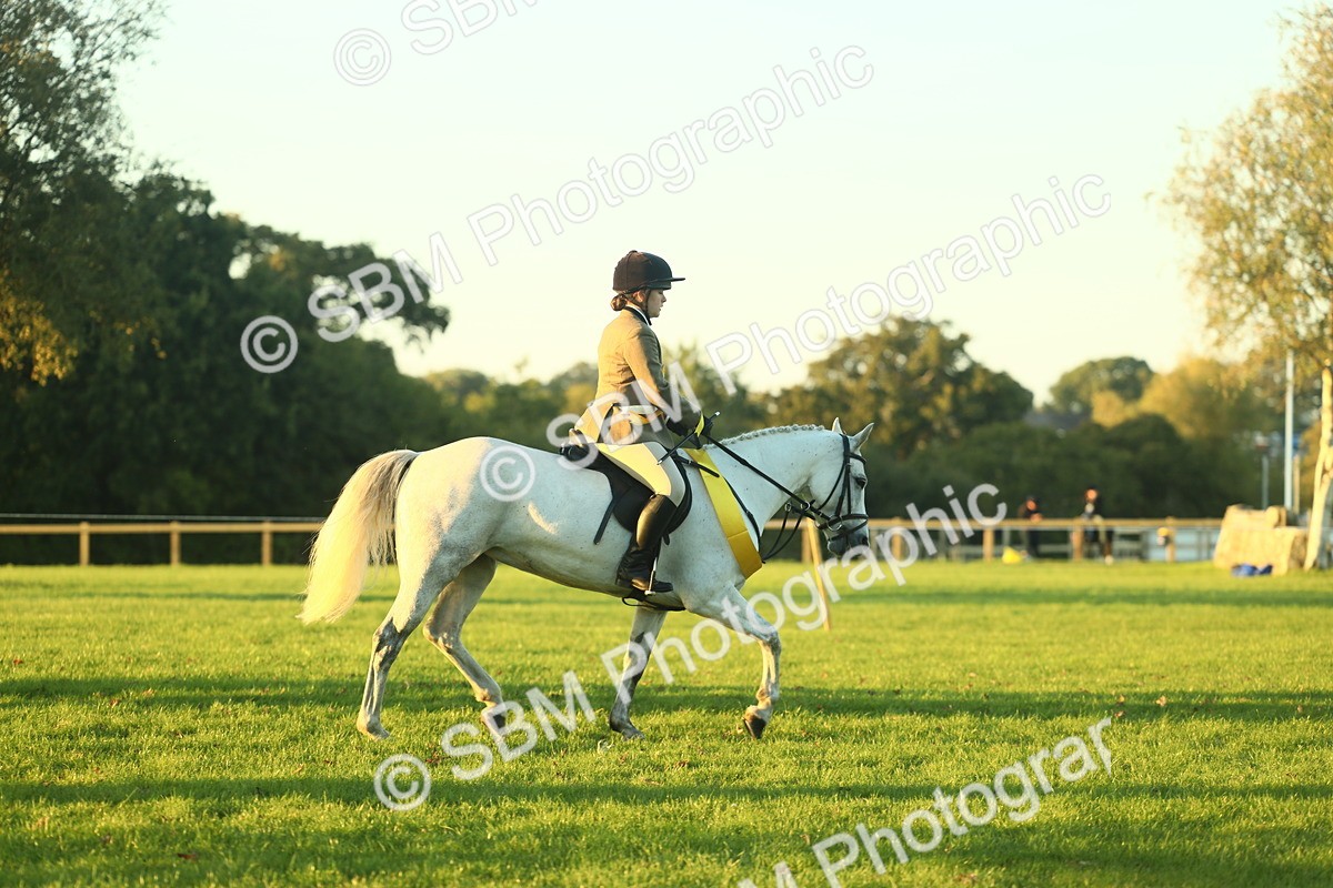 SBM_56606 - Fun & Versatile Supreme Championship