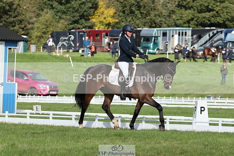 251024A-113922-10016 - D-354-Poppy.Burner