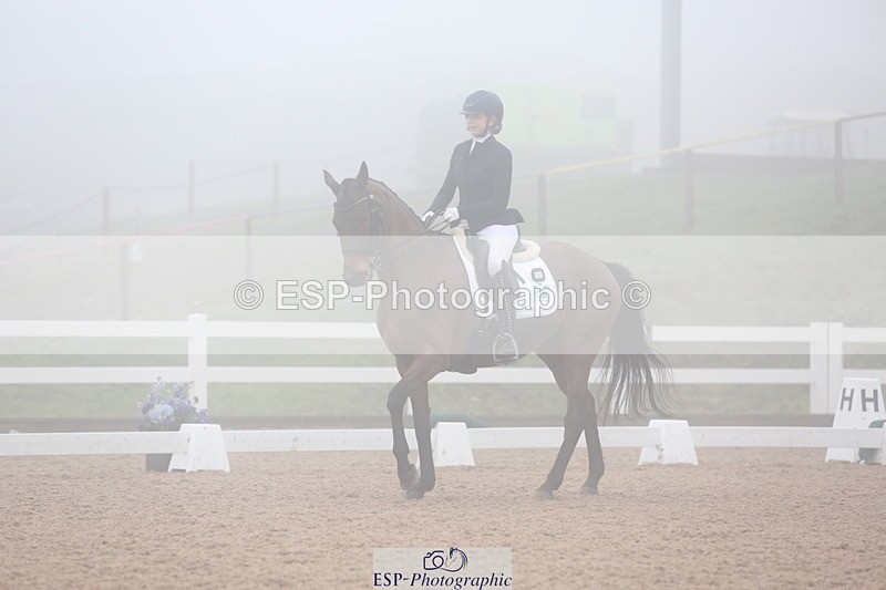 240217A-125217-02965 - 202-hayley.ford-Crimson.gold