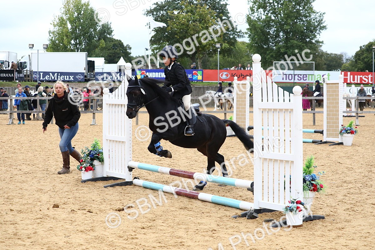 SBM_68250 - J3b - Mini Tour Junior Pony 40cm Championship