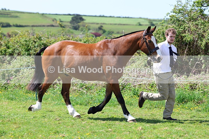 3E7A0269 - Class 19: Best Coloured in Hand