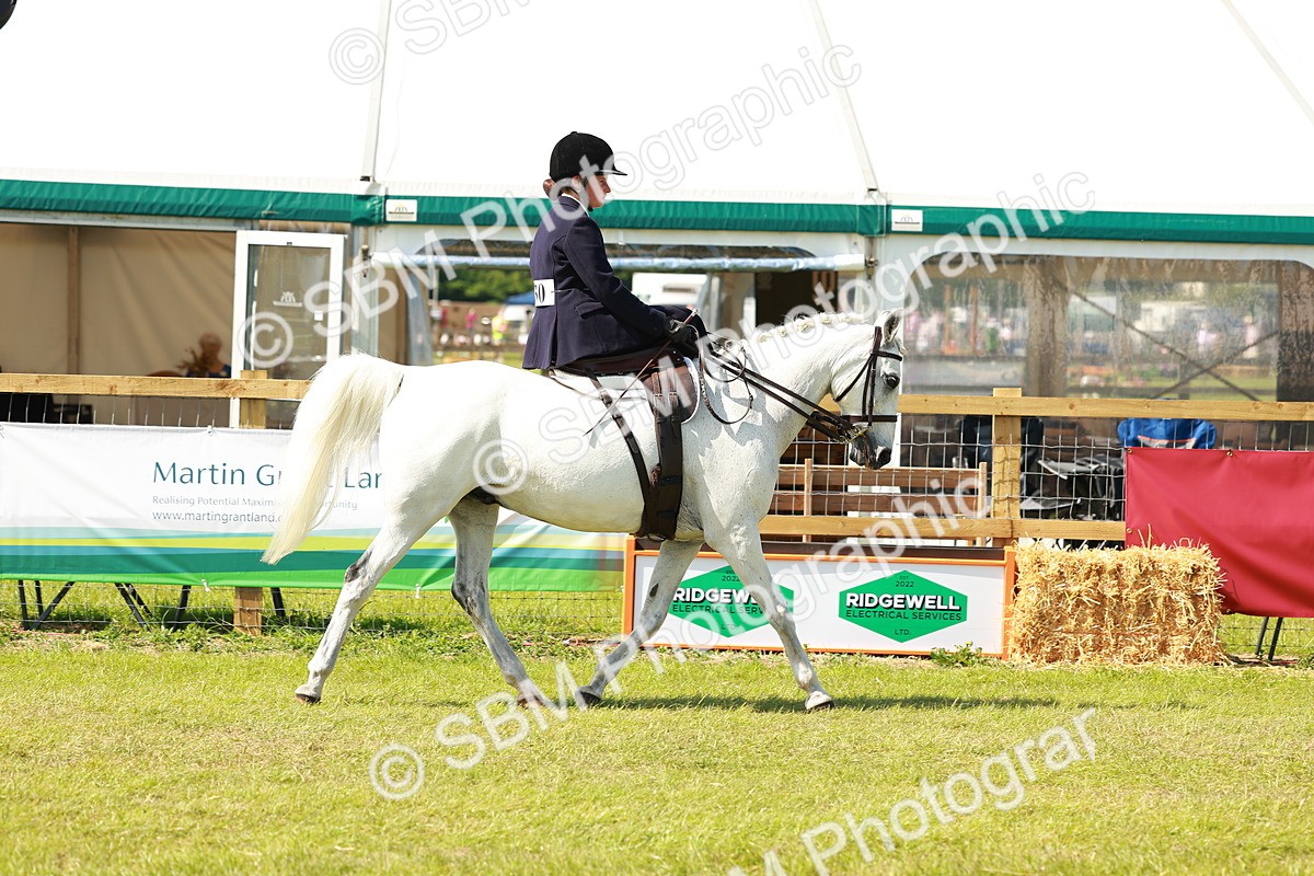 SBM_13308 - Class 70-71 - Side Saddle
