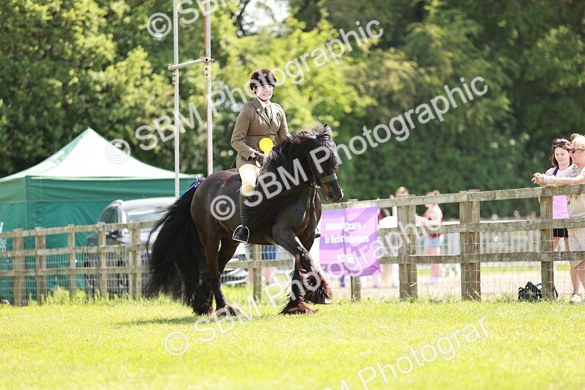 SBM_07230 - Class 26-30 - Mountain and Moorland Ridden