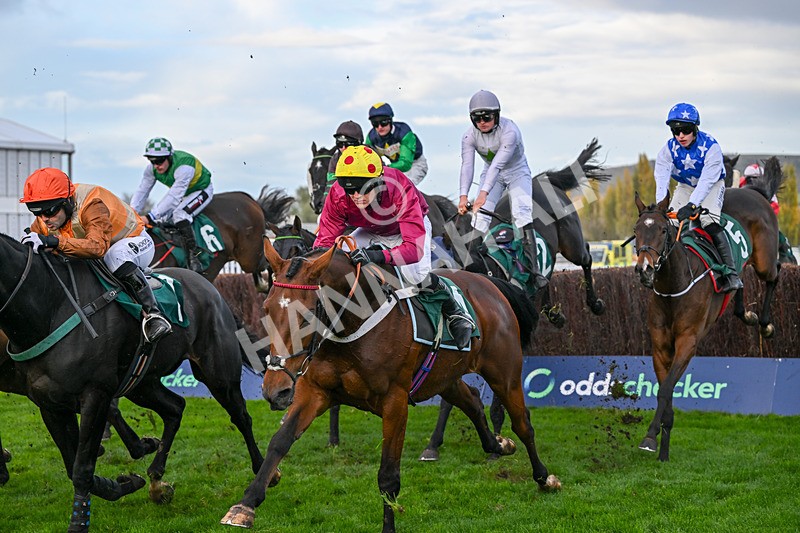241025-Race 7-Ideal Des Bordes-5905 - Race 7