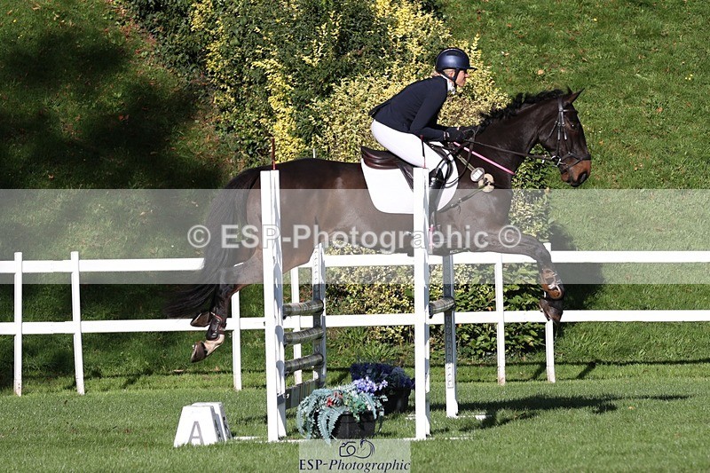 231022-105020-24780 - 603-KILBUNNY.BLUE.BIRD-Claire.Deuten-TrotUp+SJ