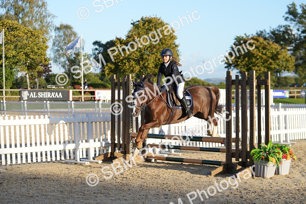SBM_54130 - Supreme Championship 60cm 65cm