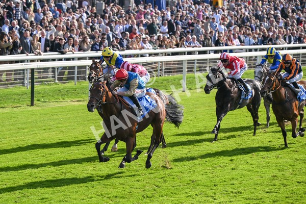 111025-Race 1-Division-8229 - Race 1 Coral Rockingham Stakes at York
