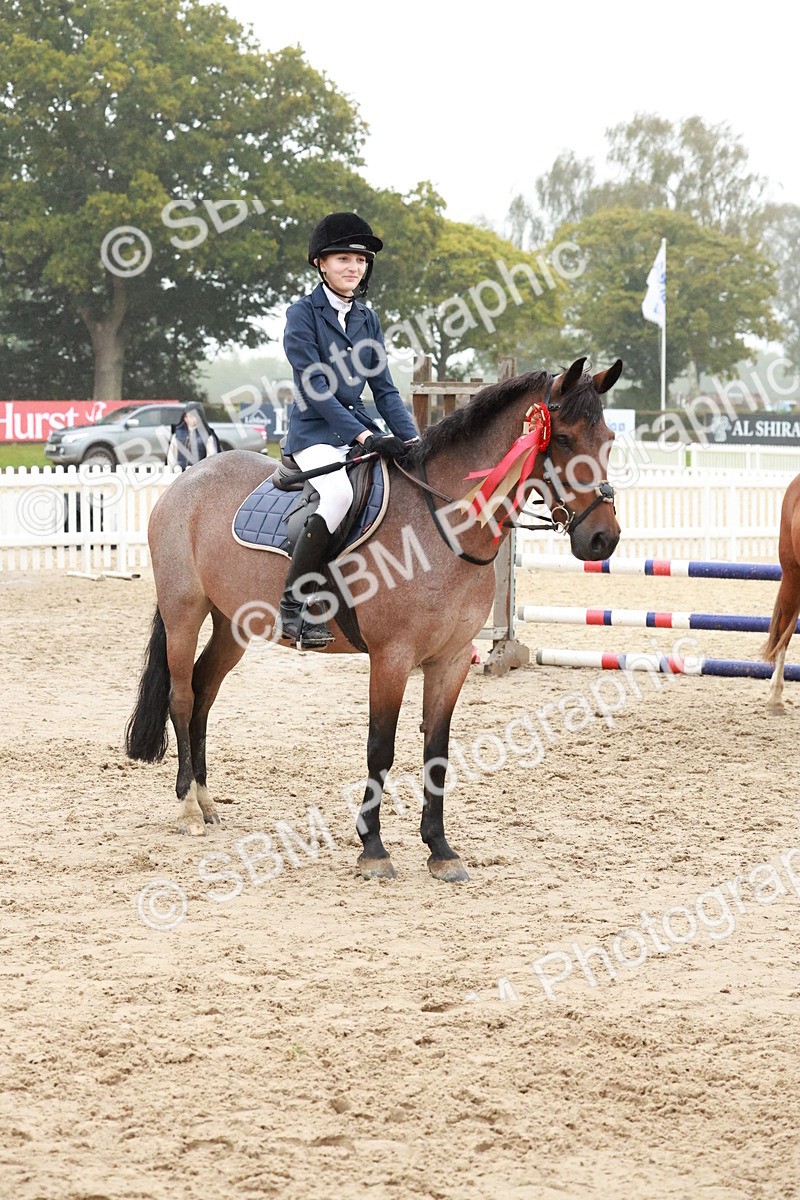 SBM_73567 - Supreme Championship Junior Pony 60cm & 65cm