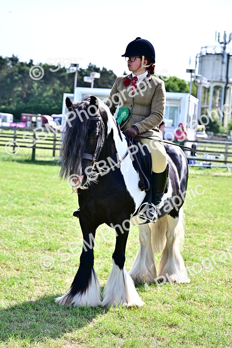 SBM_09431 - Class 63-65 - Traditional Gypsy Cobs In Hand & Ridden