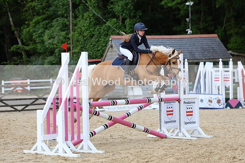 3E7A8515 - Class 14: Pony Newcomers/1m open