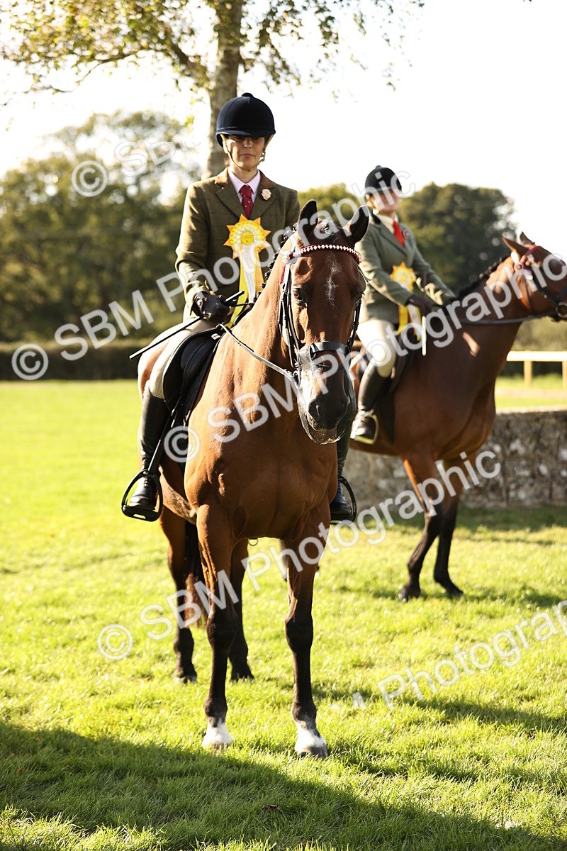 SBM_26499 - S6 - Novice & Newcomers Ridden Horse