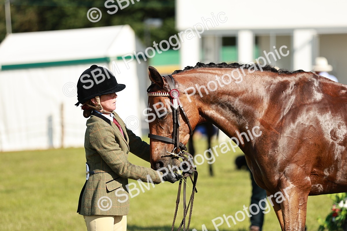 SBM_19282 - Class 115-116 - LIHS BSHA Rising Star Working Hunter & Show Horse