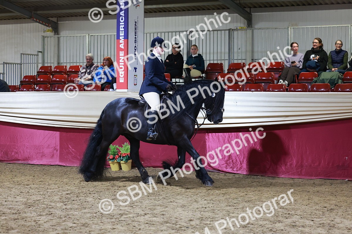 SBM_21357 - Class T - Working Veteran Champs