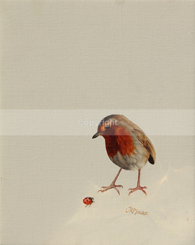 'WELL SPOTTED' - Birds